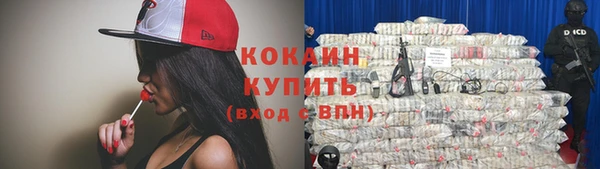 дживик Абинск