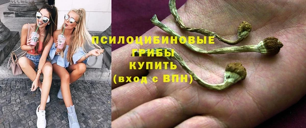 дживик Абинск