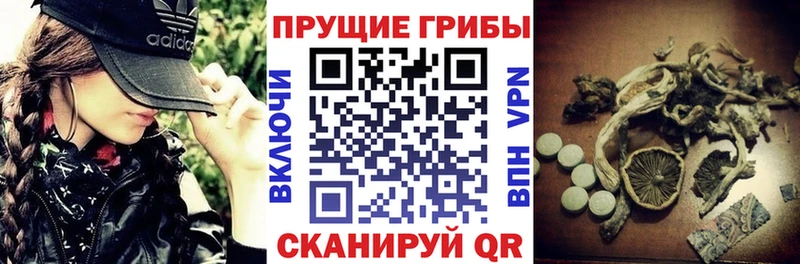 Галлюциногенные грибы мухоморы  гидра зеркало  Домодедово 